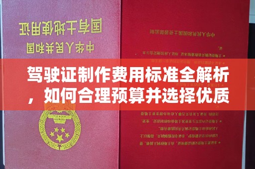 仁布驾驶证制作费用标准全解析，如何合理预算并选择优质服务？
