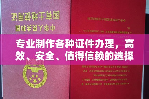 仁布专业制作各种证件办理，高效、安全、值得信赖的选择