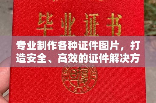 仁布专业制作各种证件图片，打造安全、高效的证件解决方案