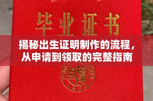 仁布揭秘出生证明制作的流程，从申请到领取的完整指南