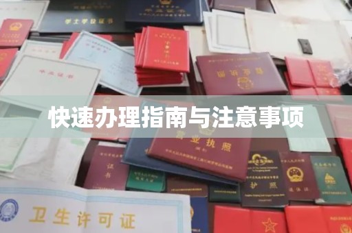 仁布快速办理指南与注意事项