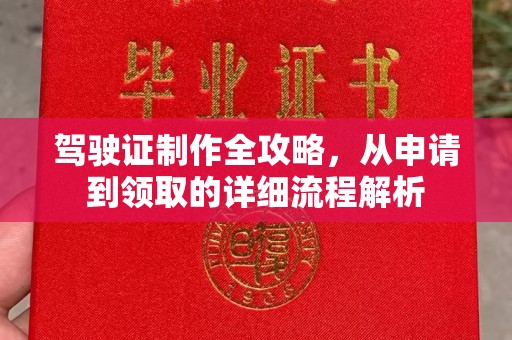 仁布驾驶证制作全攻略，从申请到领取的详细流程解析